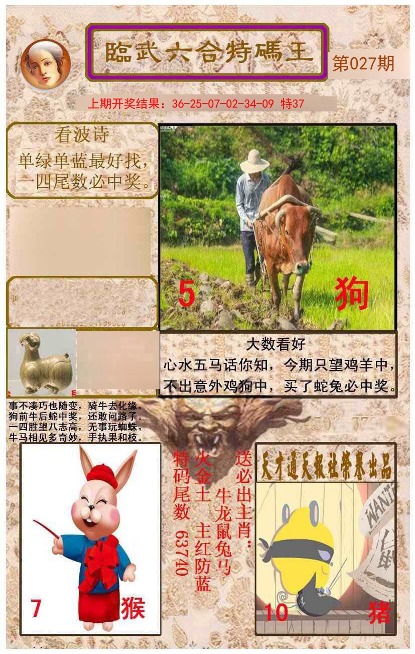 2025027期临武六合特码王
