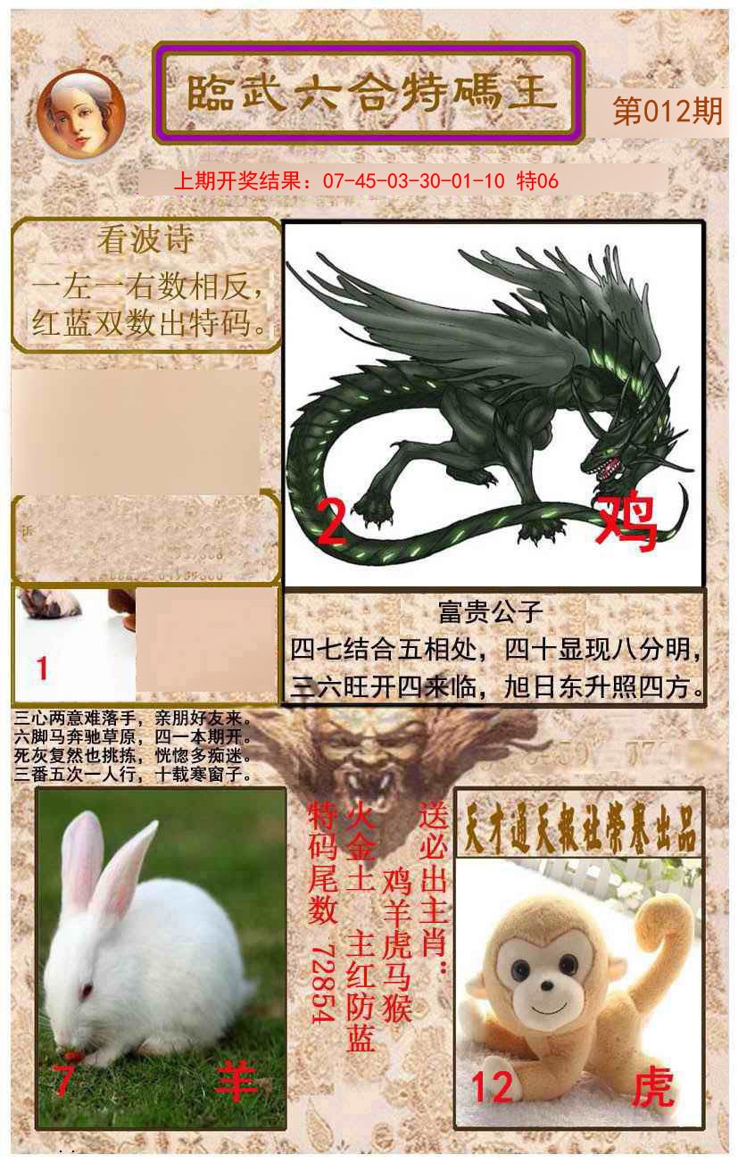 2025012期临武六合特码王