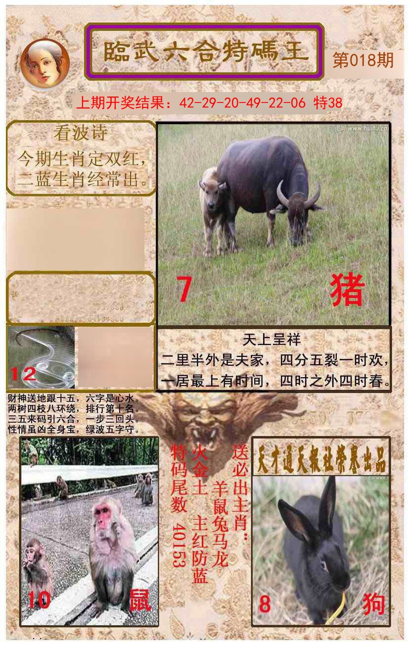 2025018期临武六合特码王