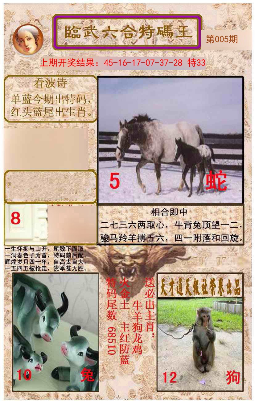 2025005期临武六合特码王