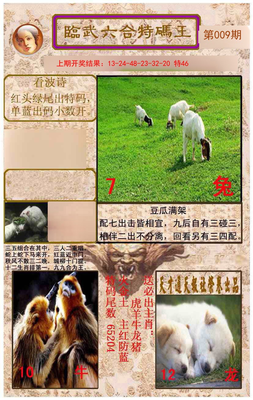2025009期临武六合特码王
