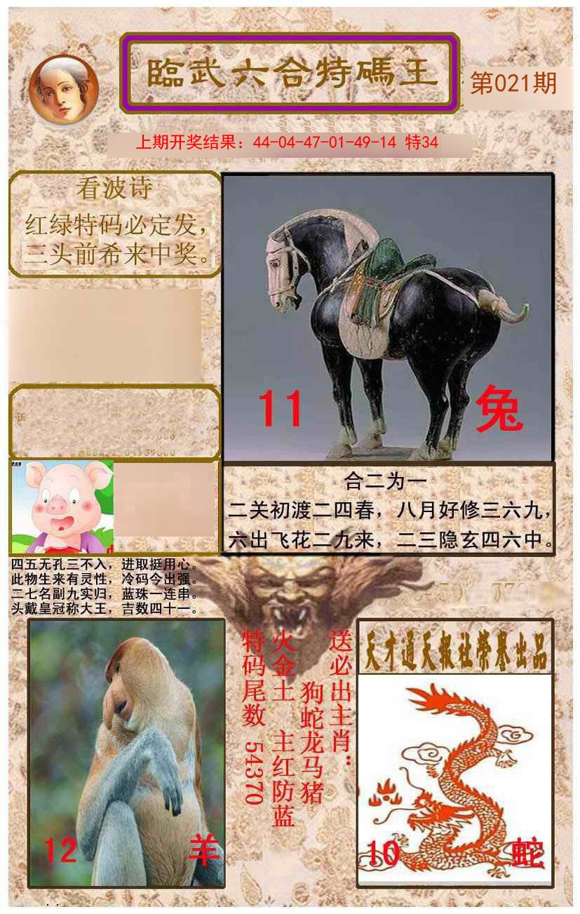 2025021期临武六合特码王