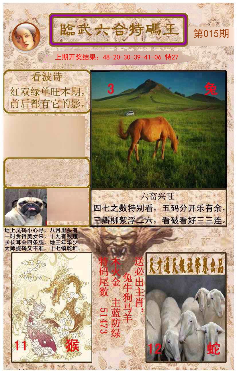 2025015期临武六合特码王