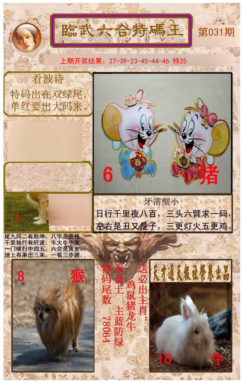 2025031期临武六合特码王