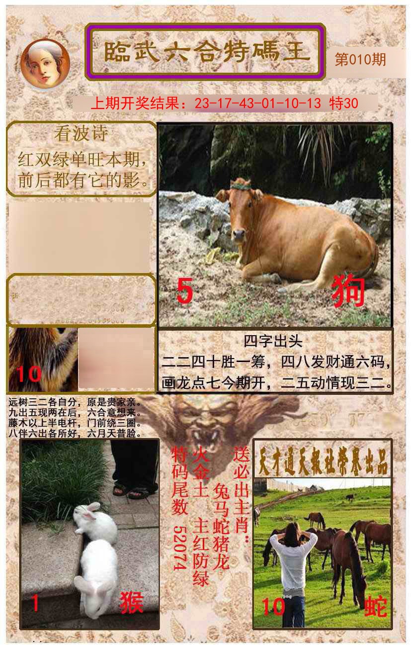 2025010期临武六合特码王