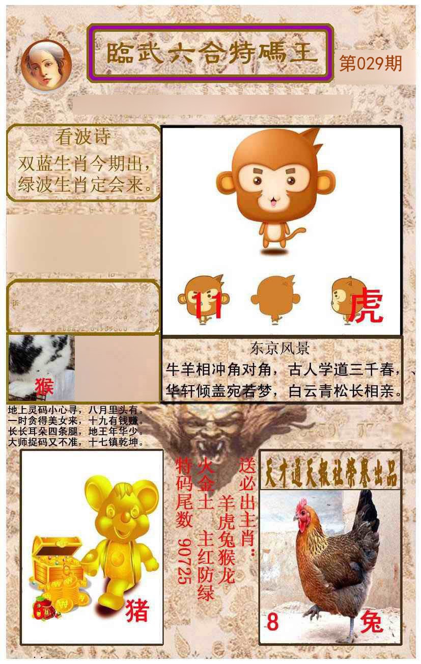 2025029期临武六合特码王
