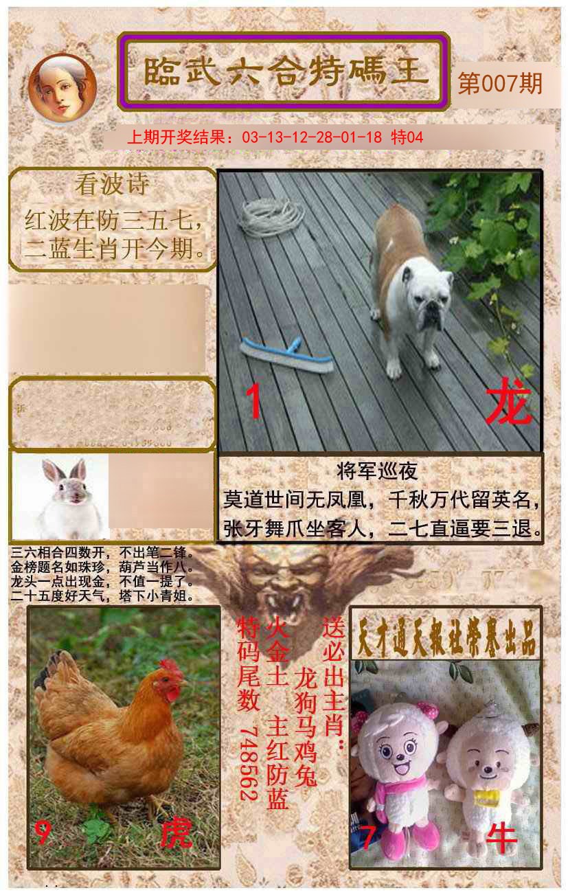 2025007期临武六合特码王