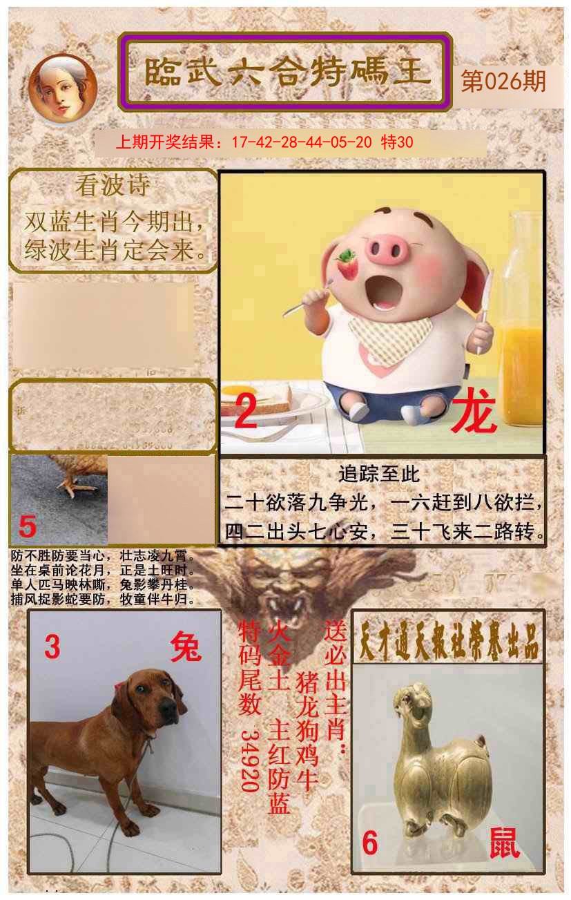 2025026期临武六合特码王
