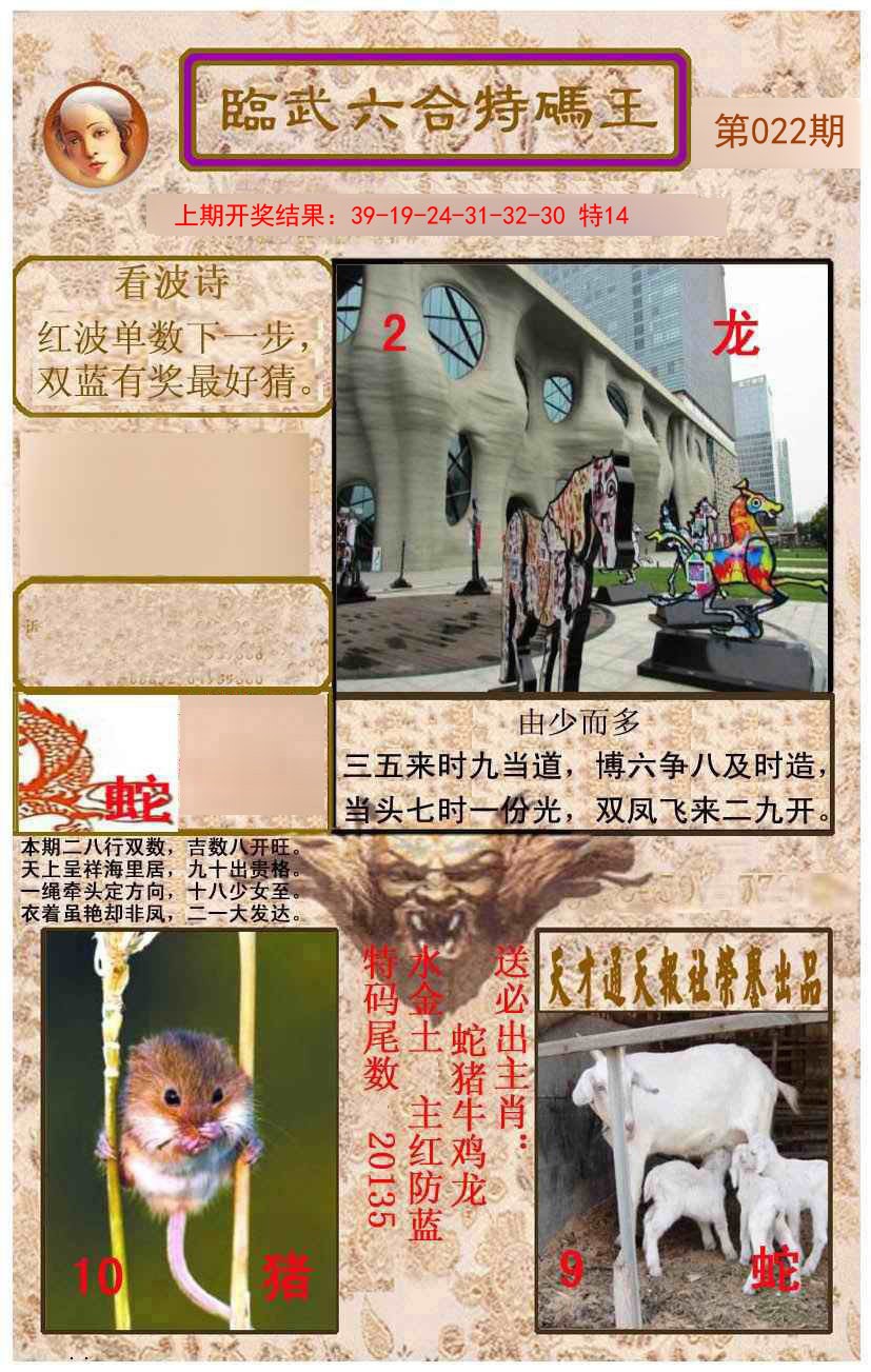 2025022期临武六合特码王