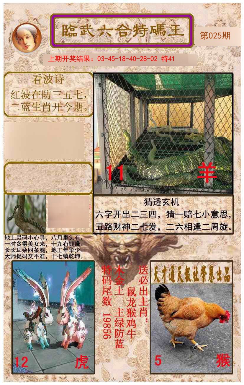 2025025期临武六合特码王