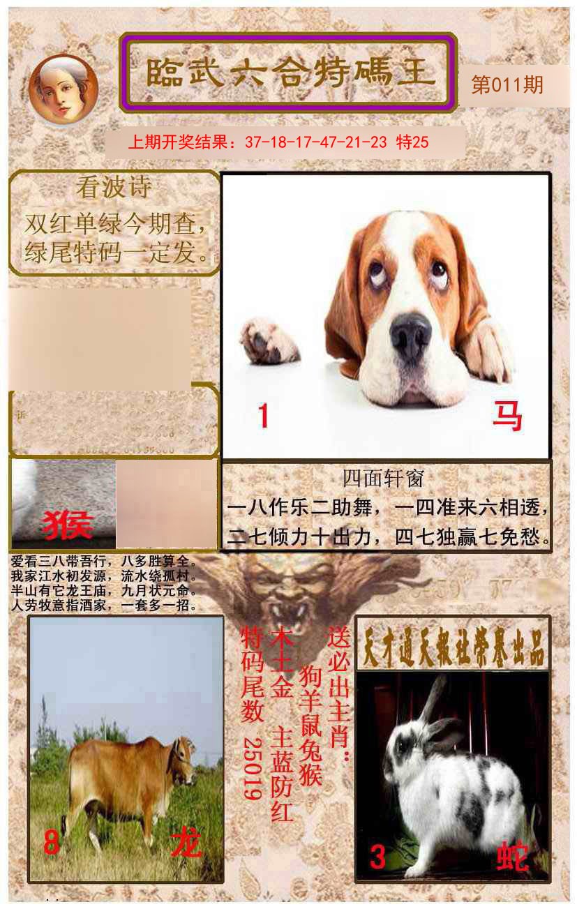 2025011期临武六合特码王