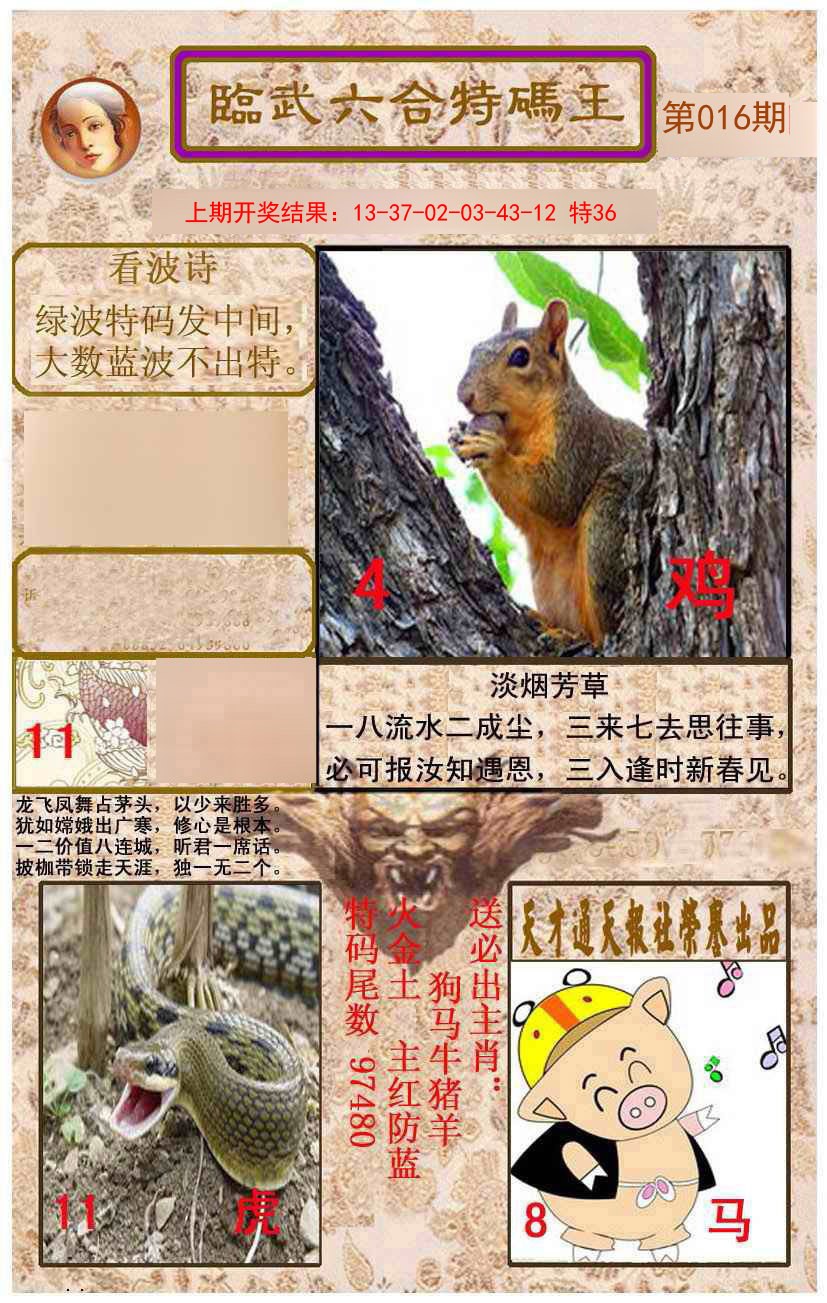 2025016期临武六合特码王