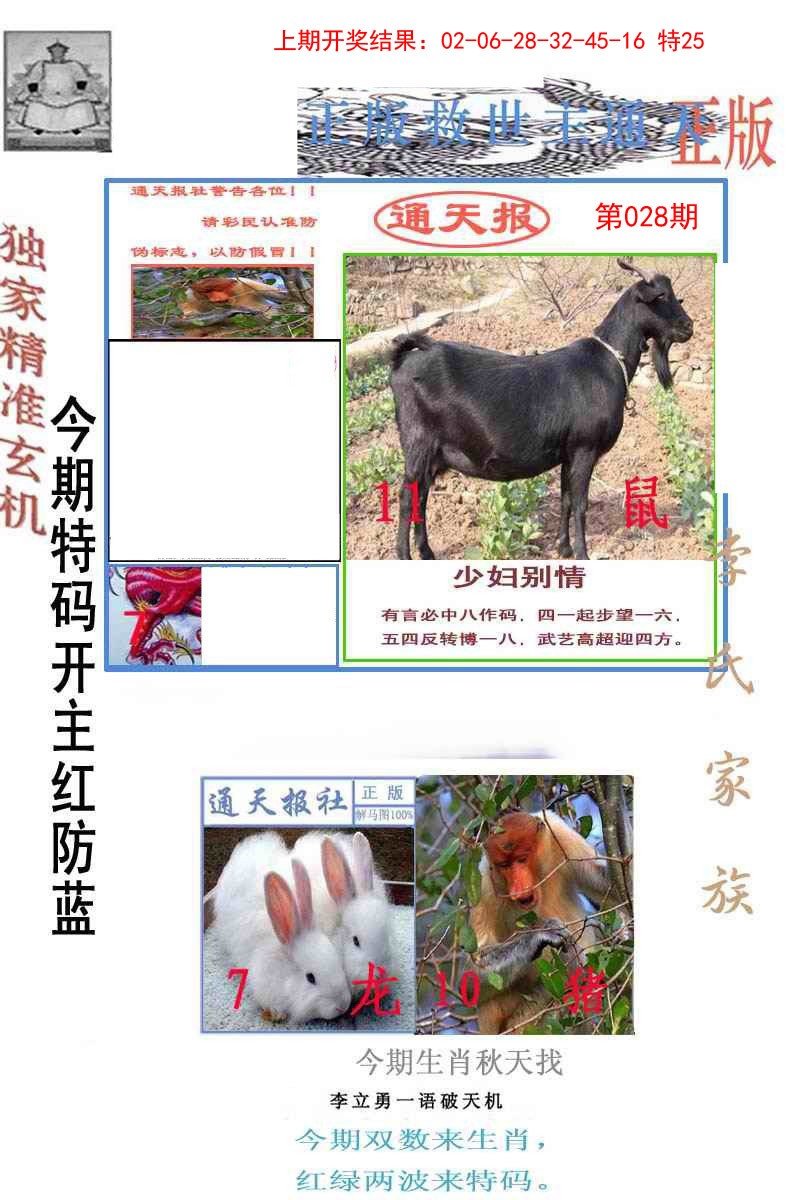 2025028期李力勇通天报
