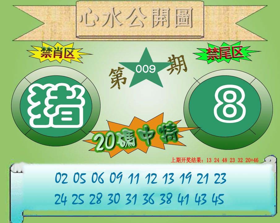 2025009期心水公开图