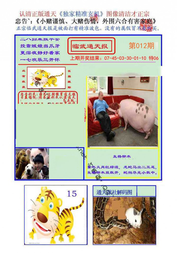 2025012期临武通天报