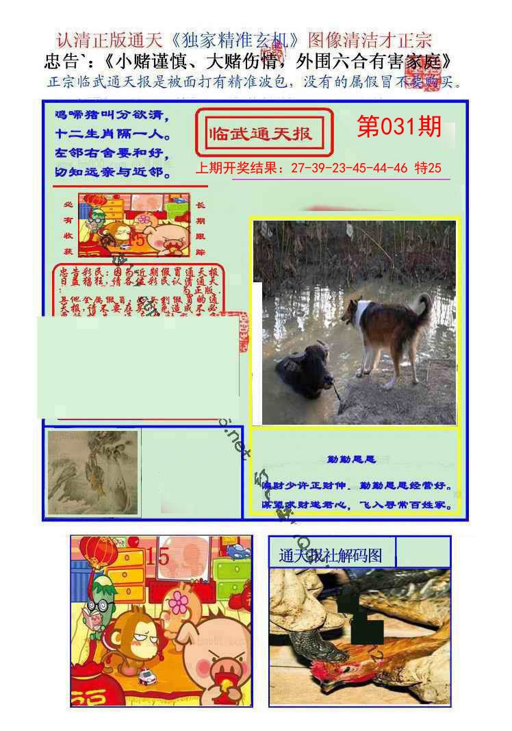 2025031期临武通天报