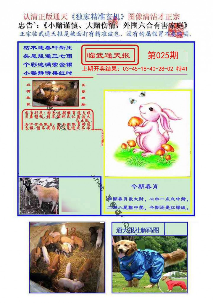 2025025期临武通天报