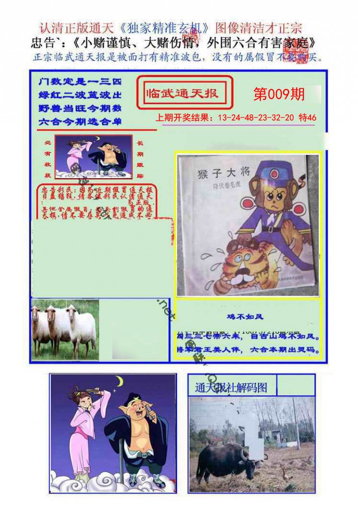 2025009期临武通天报