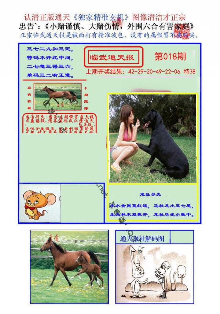 2025018期临武通天报