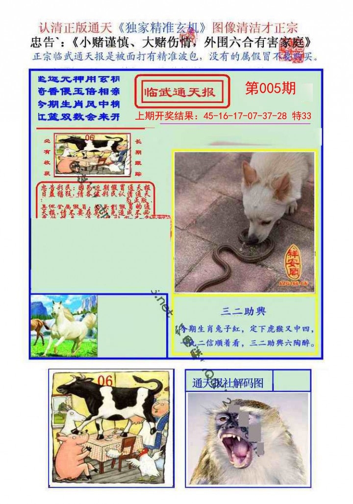 2025005期临武通天报