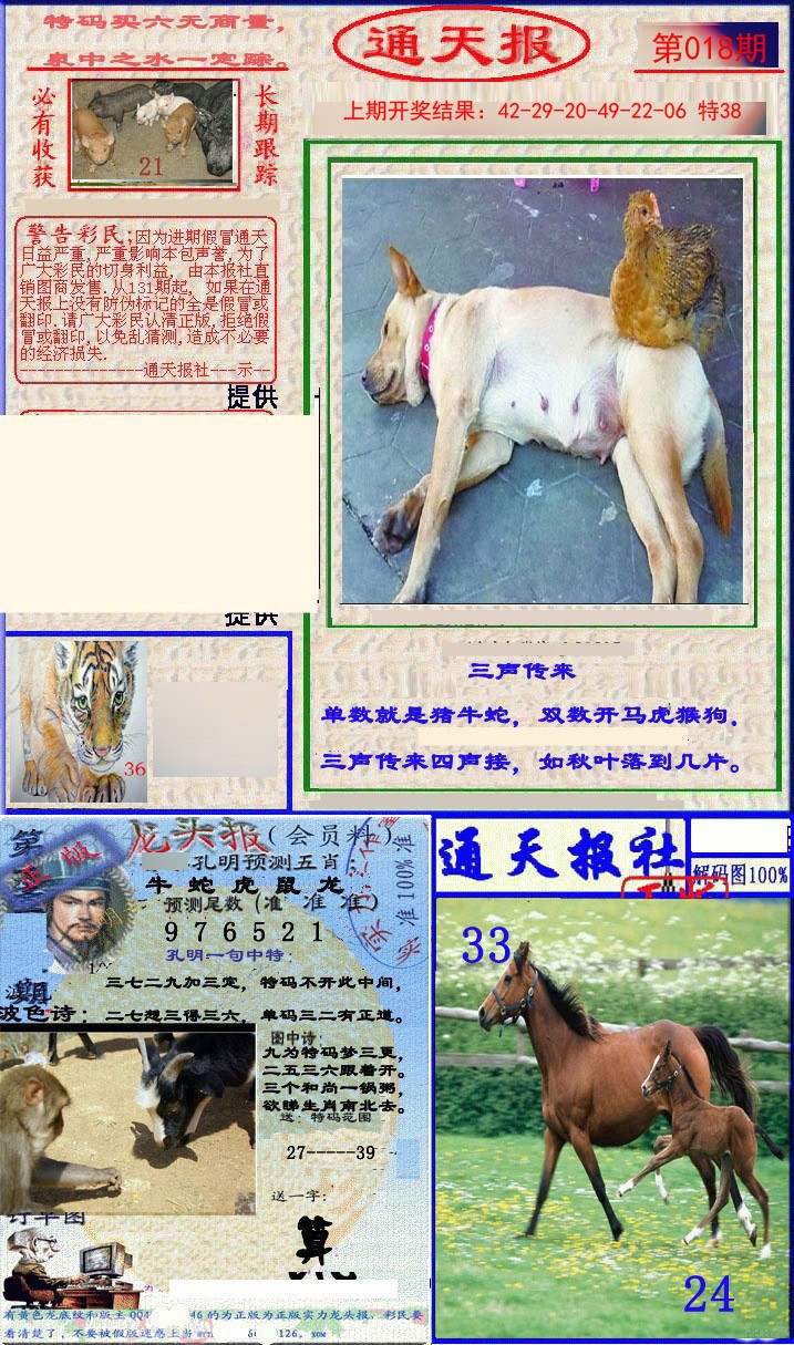 2025018期实力通天报