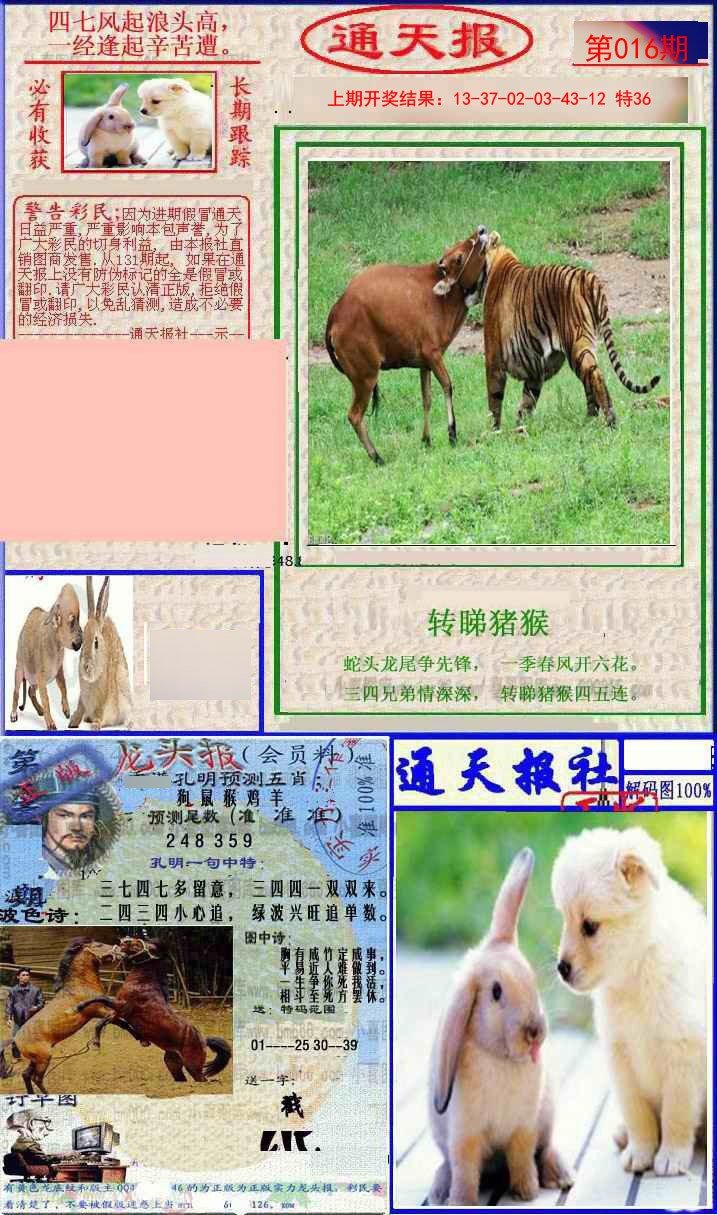 2025016期实力通天报