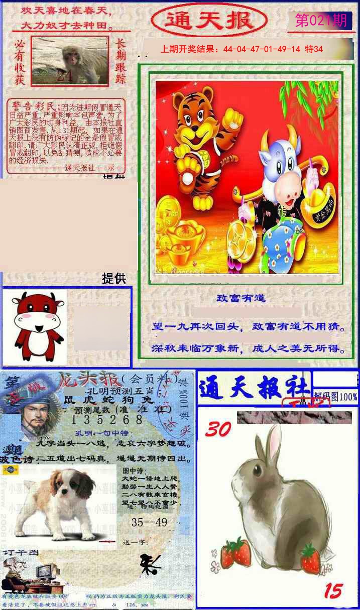 2025021期实力通天报