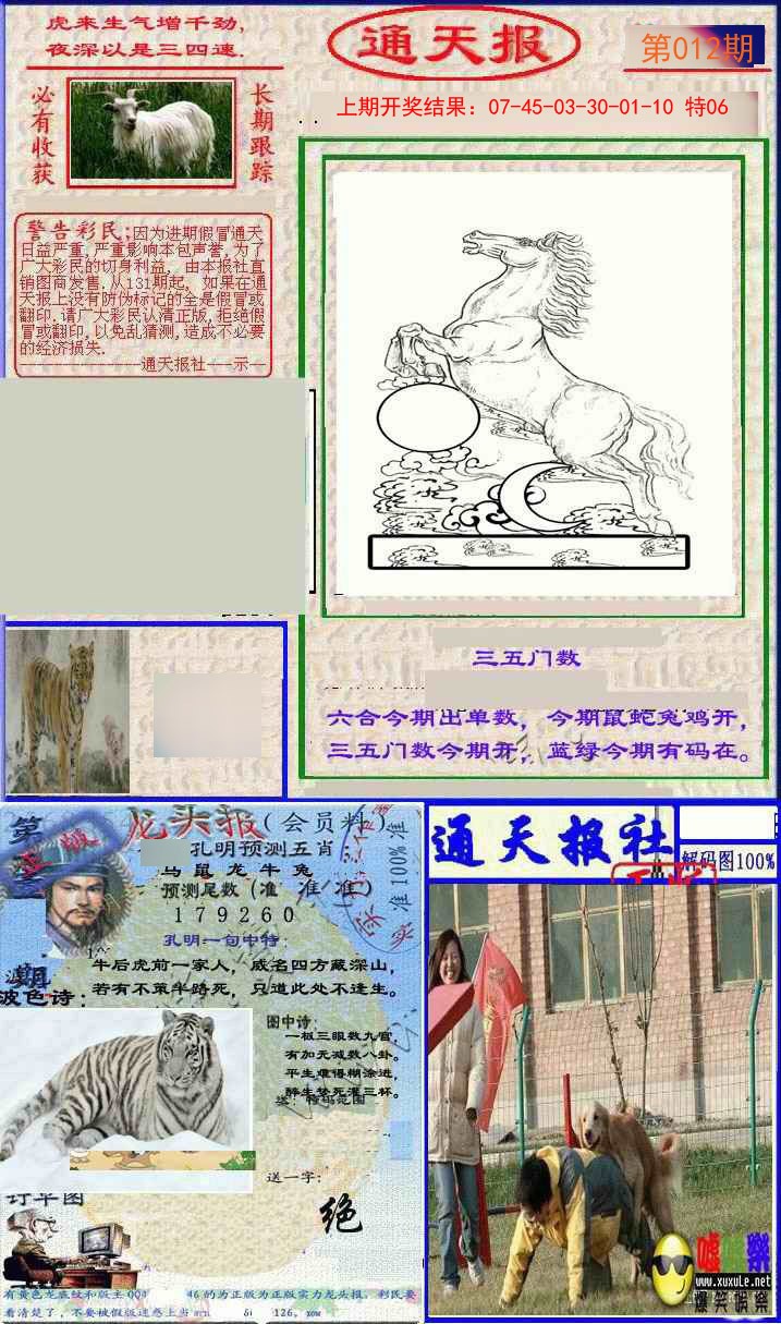 2025012期实力通天报