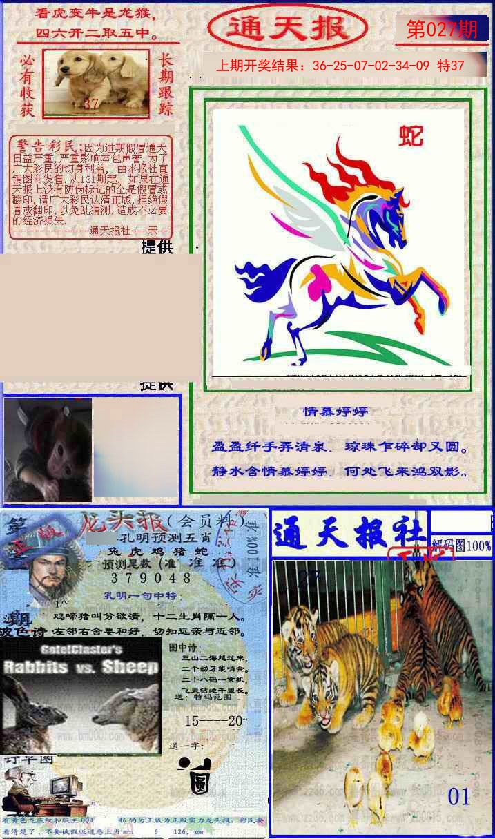 2025027期实力通天报