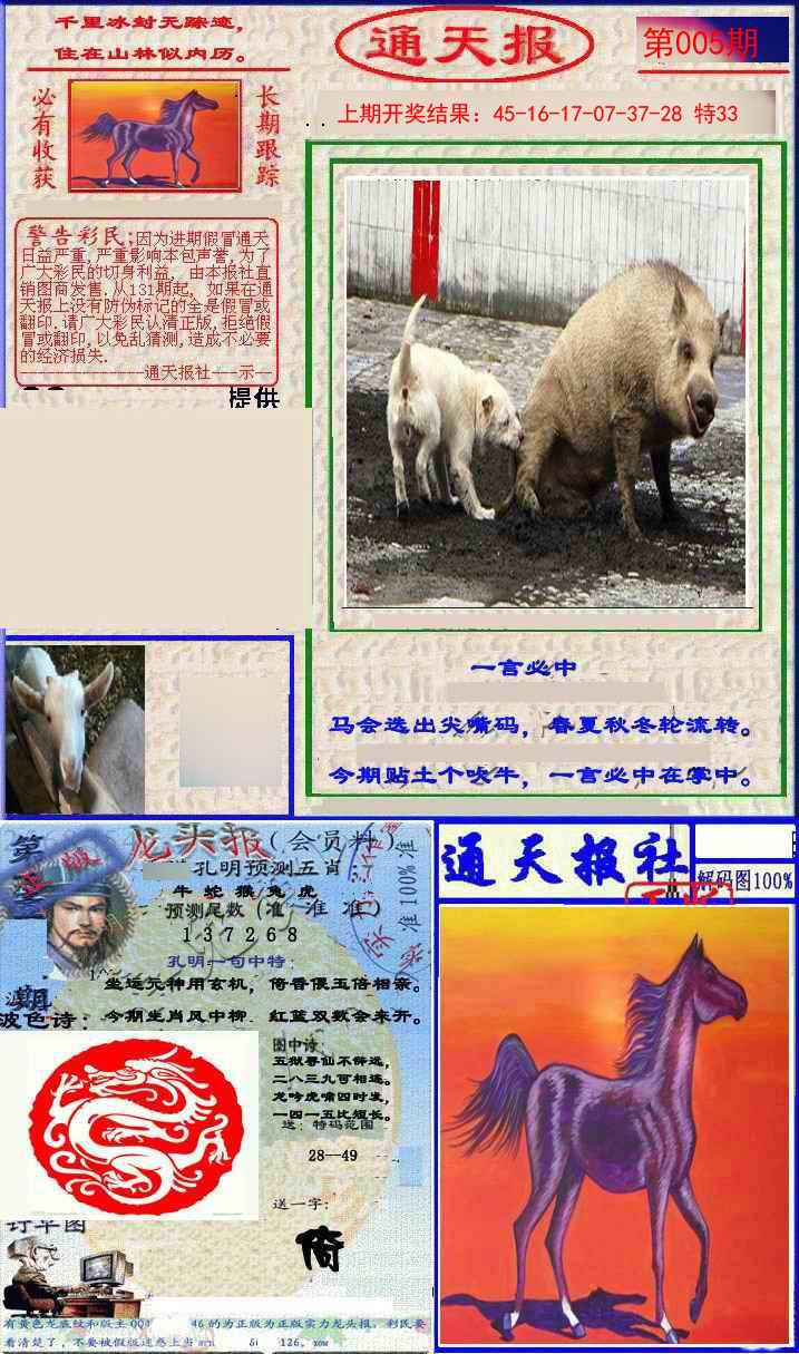 2025005期实力通天报