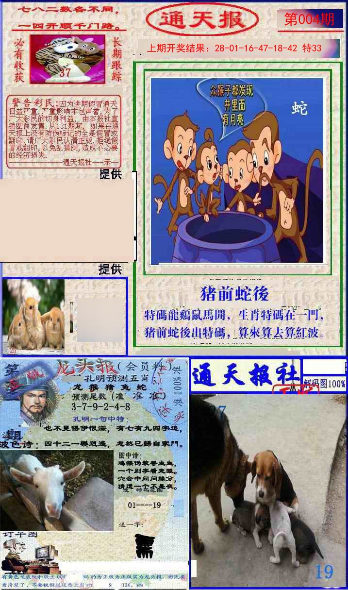 2025004期实力通天报