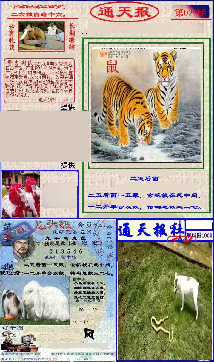 2025029期实力通天报