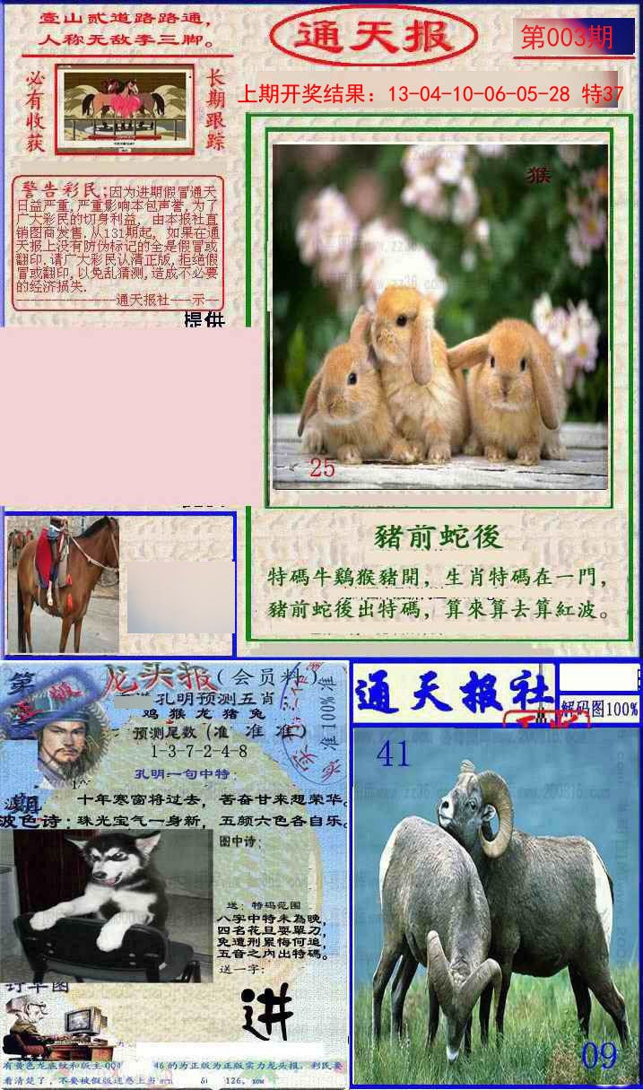 2025003期实力通天报