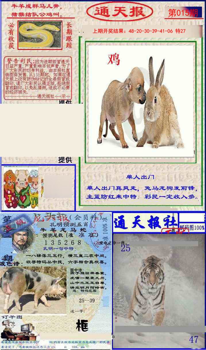 2025015期实力通天报