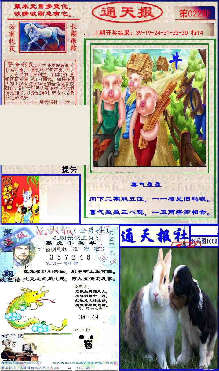 2025022期实力通天报