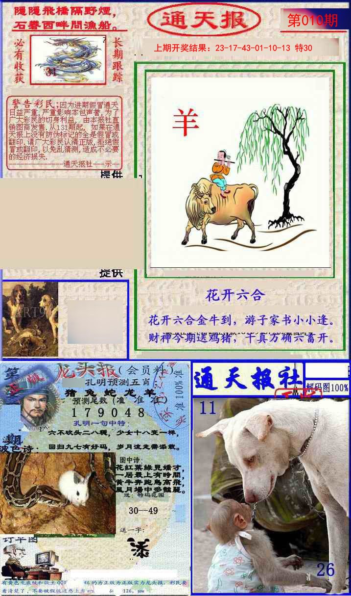 2025010期实力通天报