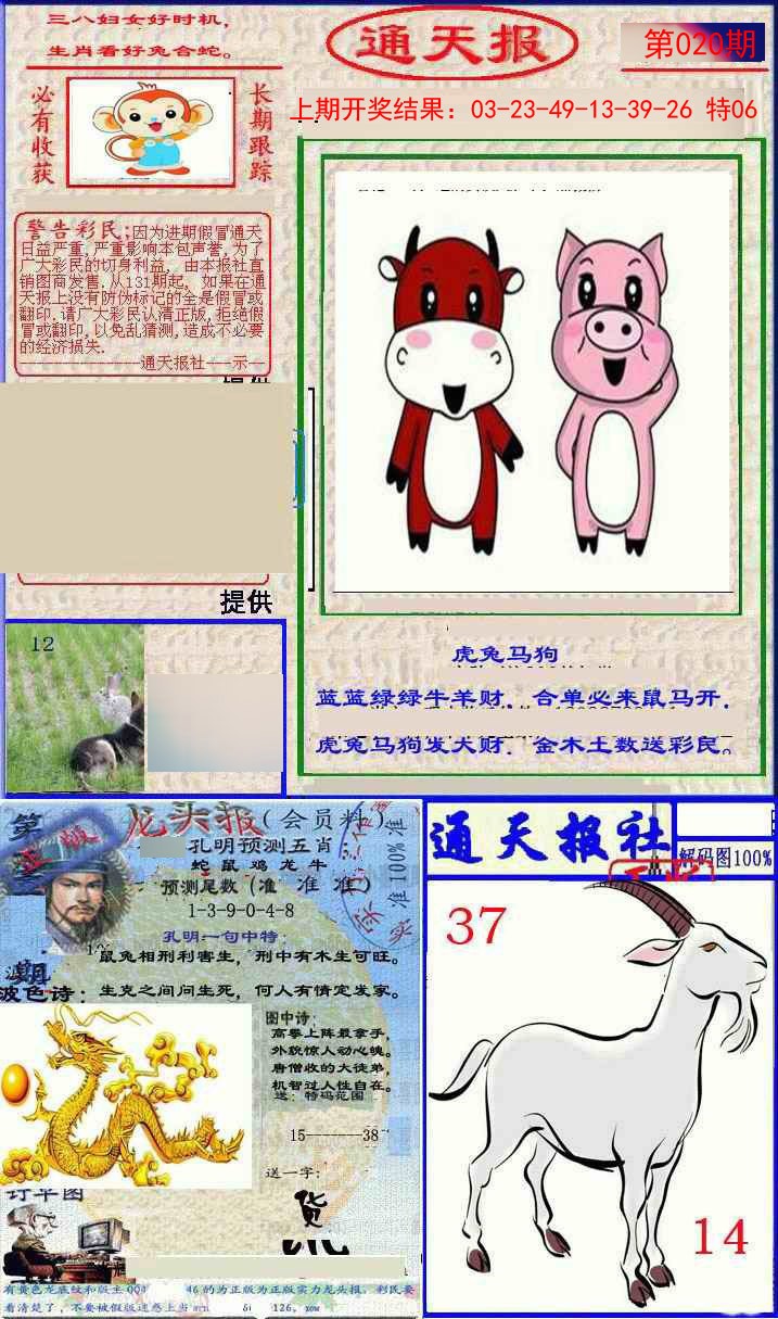 2025020期实力通天报