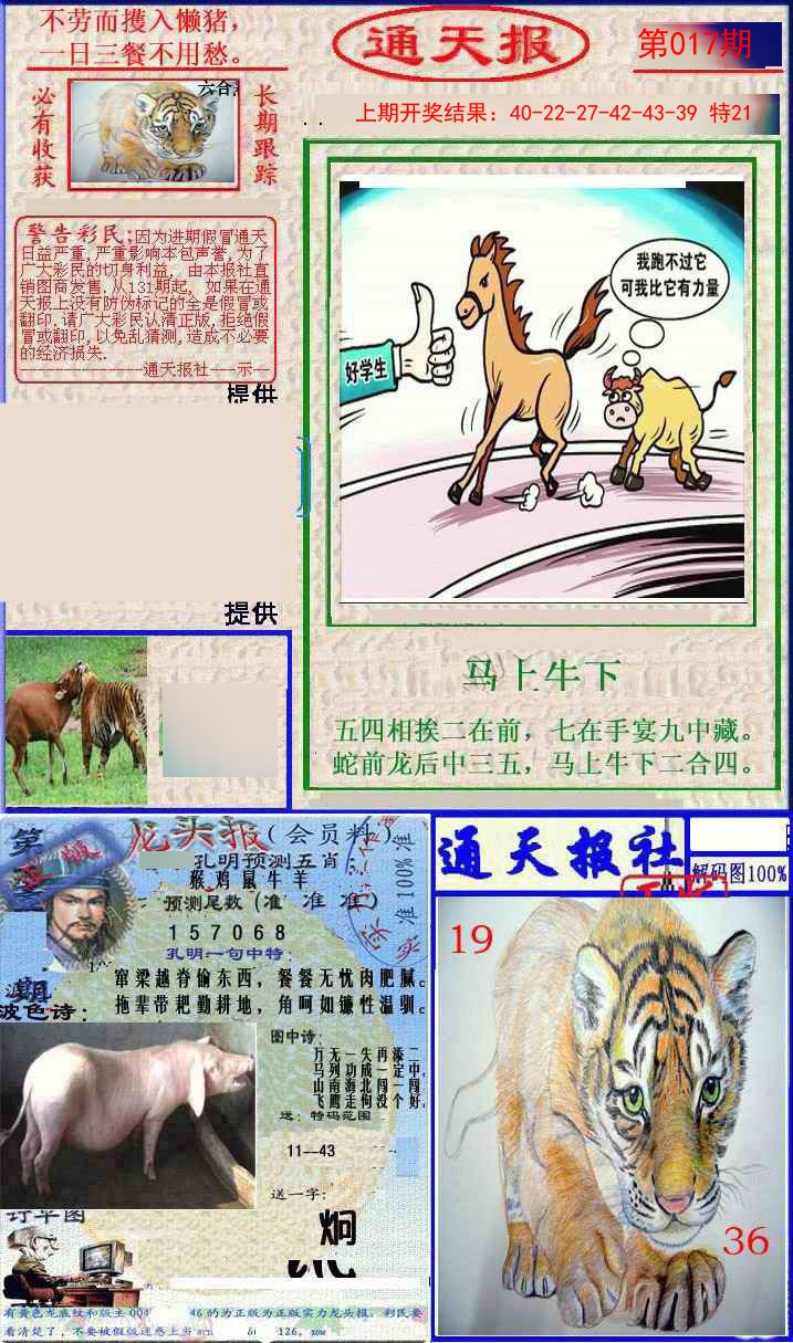 2025017期实力通天报