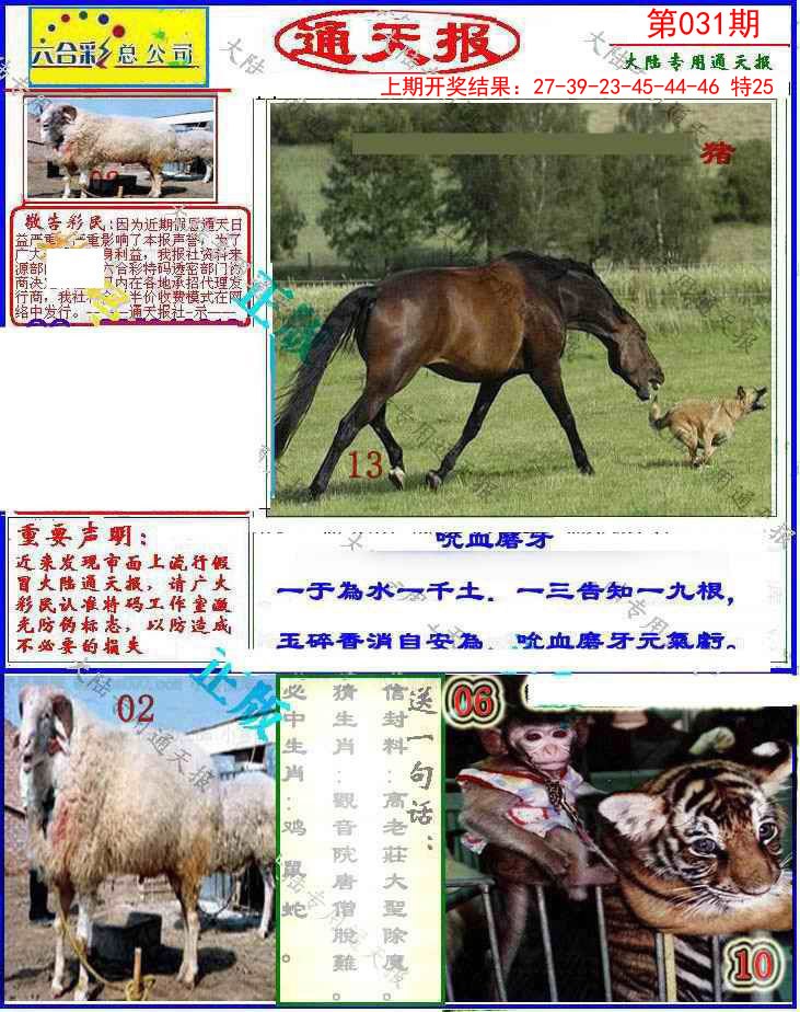2025031期大陆通天报