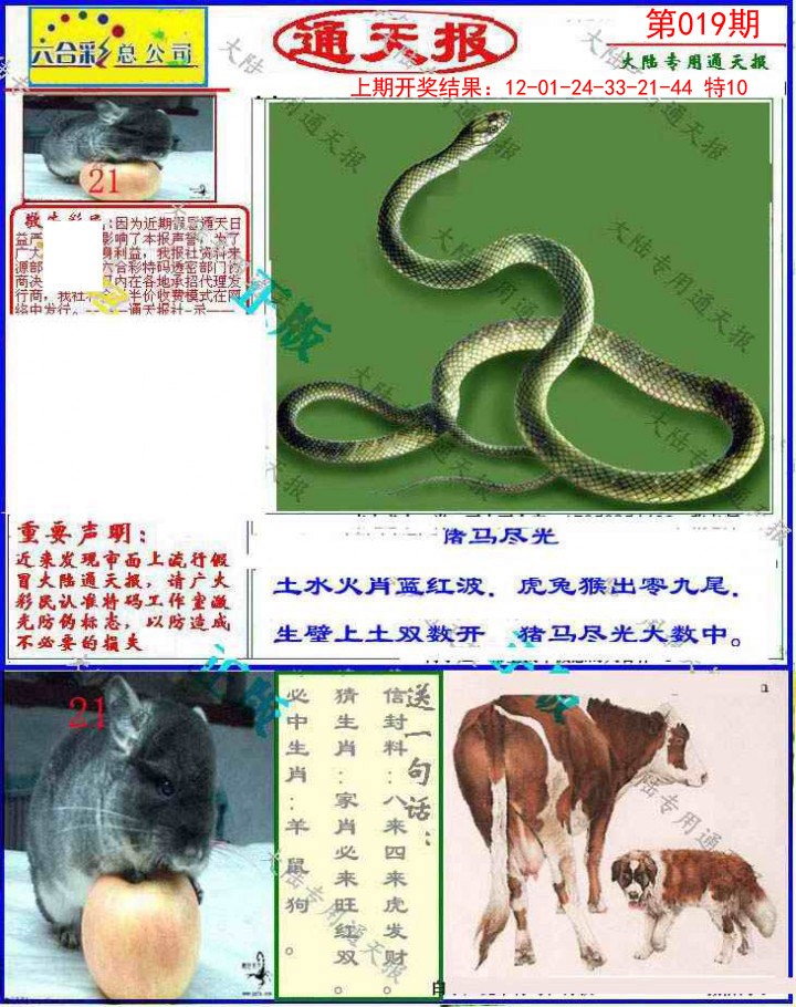 2025019期大陆通天报