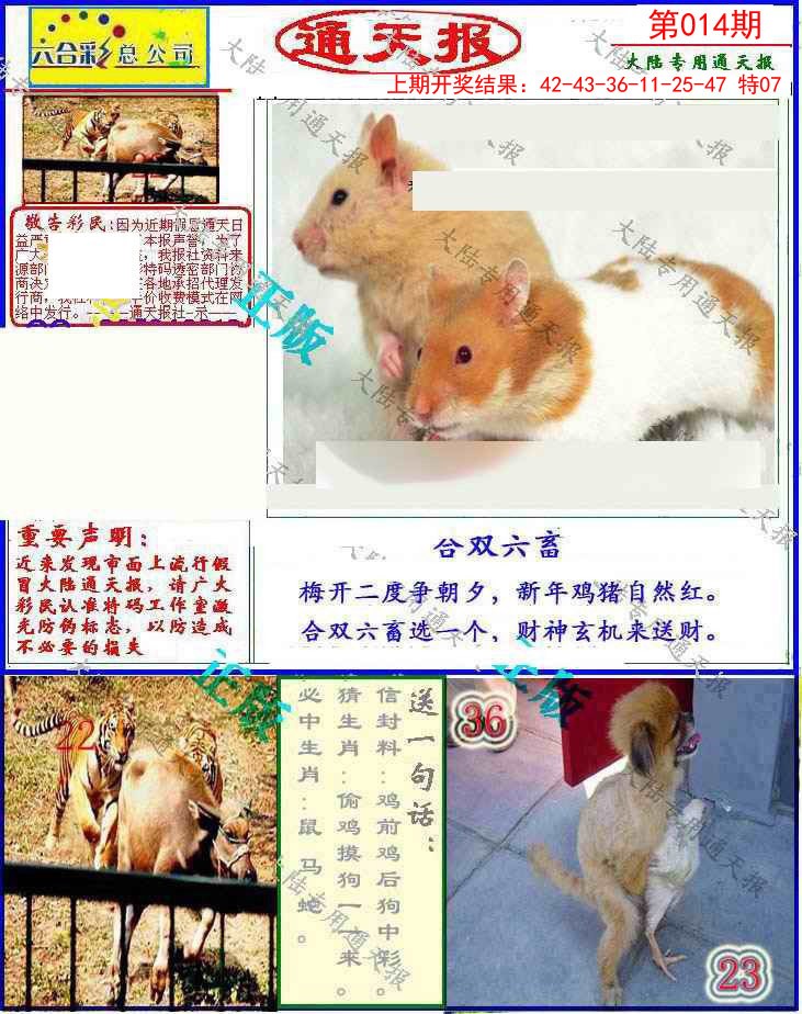 2025014期大陆通天报