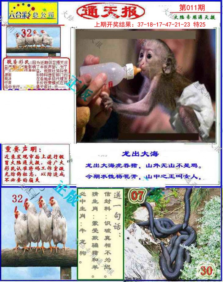 2025011期大陆通天报