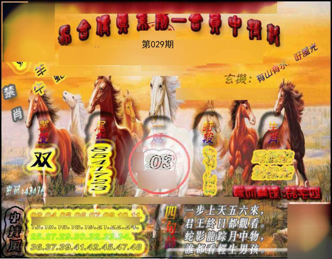 2025029期马会传真-会员报