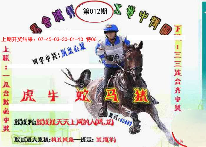 2025012期马会传真-五肖料