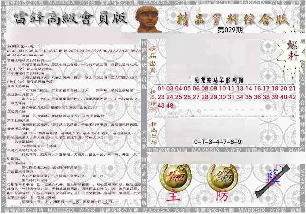 2025029期雷锋资料综合版