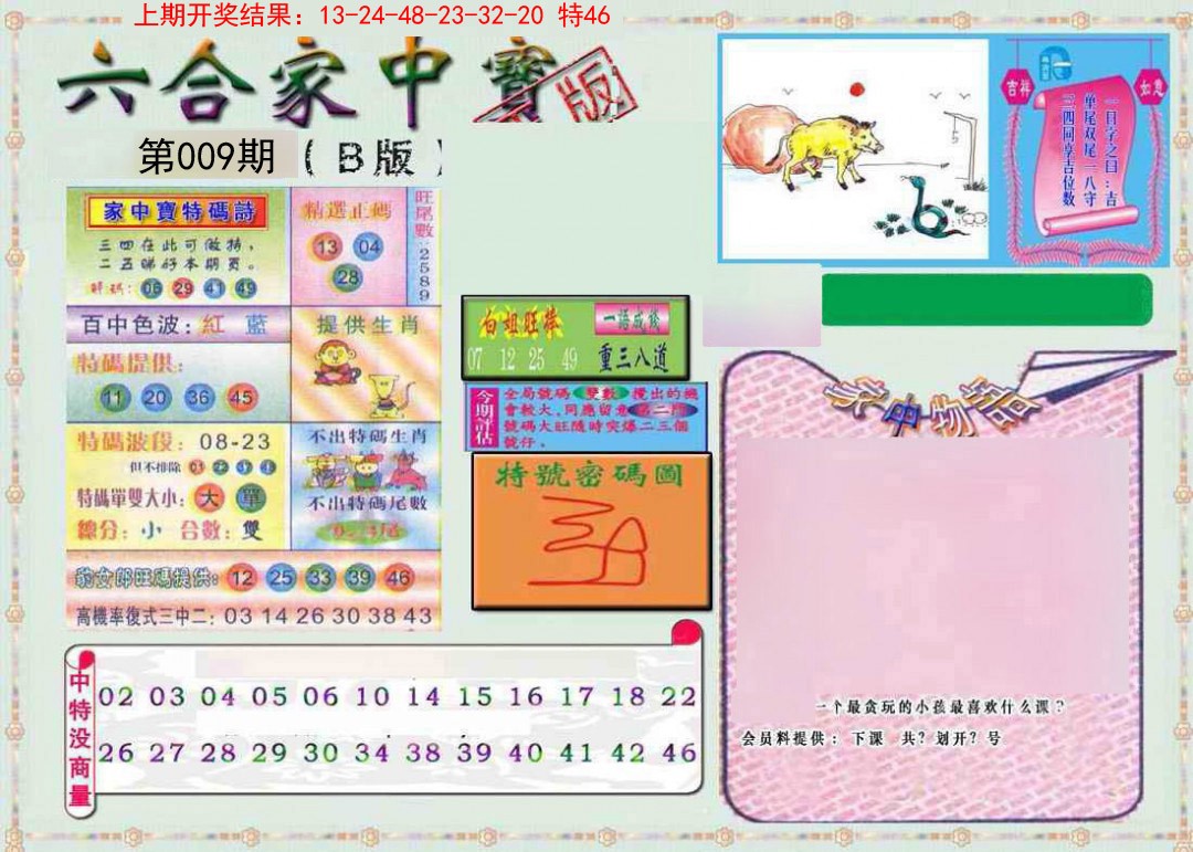 2025009期六合家中宝B