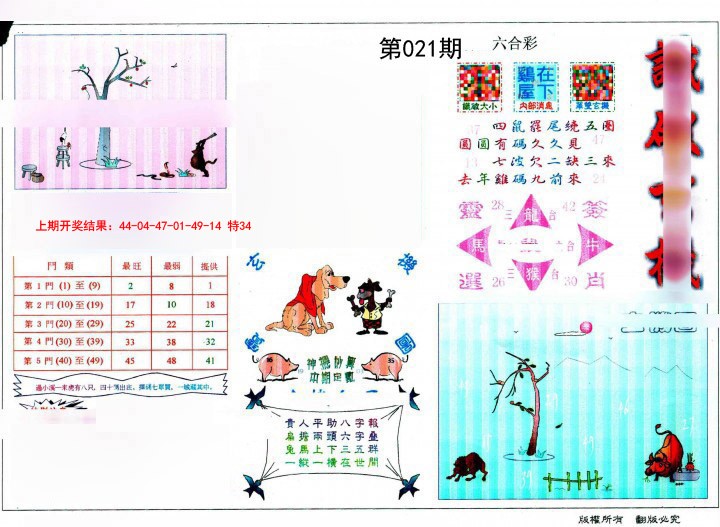 2025021期识破玄机