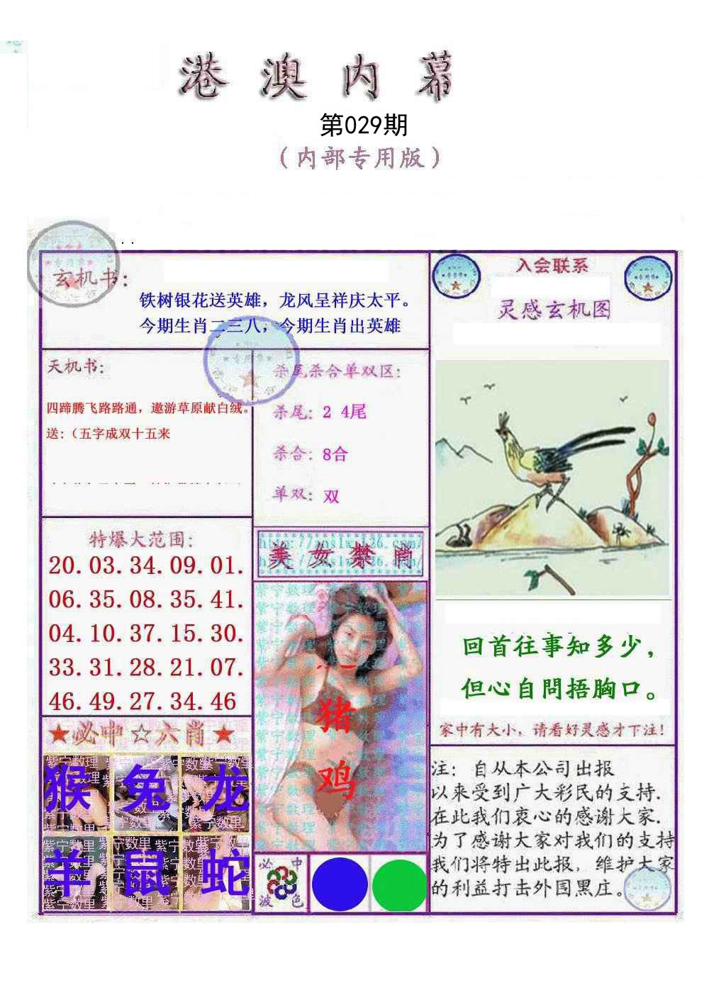 2025029期港澳内幕报