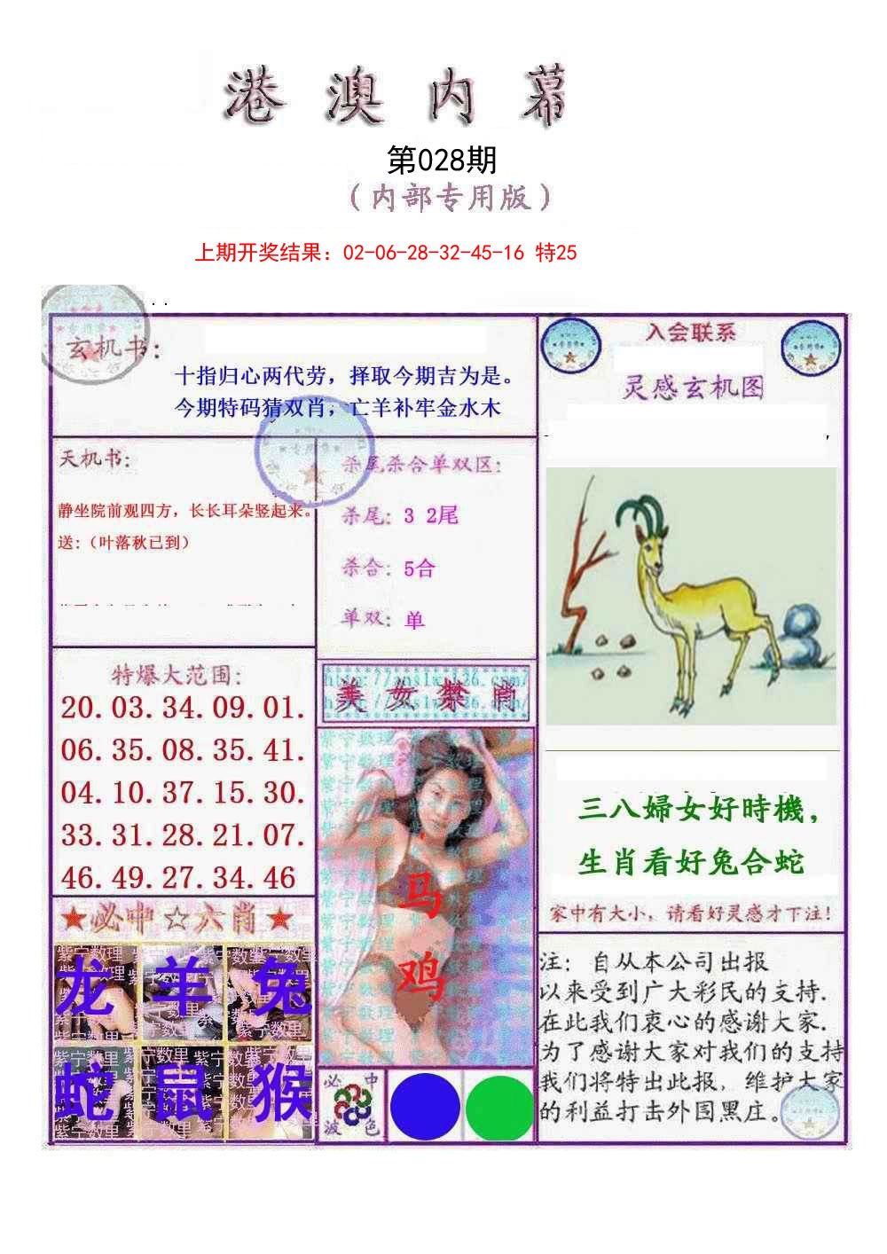 2025028期港澳内幕报