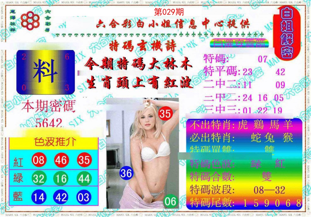 2025029期白姐解密《另版》